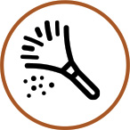 Service Icon